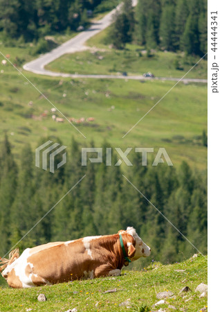 The Dolomites in Summer 44444341
