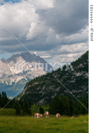 Mountain Landscape of the Italian Dolomites Mountain Landscape of the Italian Dolomites 44444383