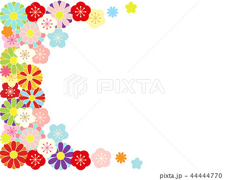 梅と桜と菊と 44444770