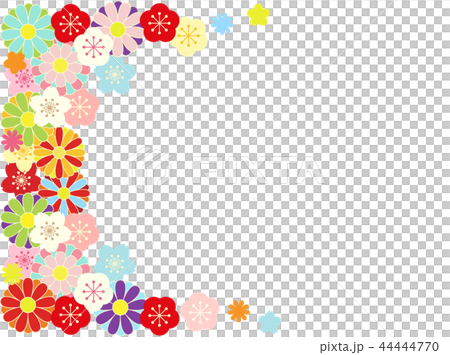 梅と桜と菊と 44444770