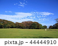 初秋の公園　青空と白い雲 44444910