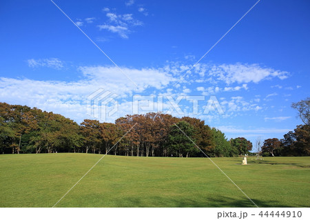初秋の公園　青空と白い雲 44444910
