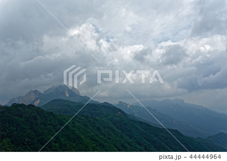 北朝鮮産 雲 道峰山 44444964