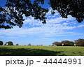 青い空の公園で遊ぶ子ども 44444991