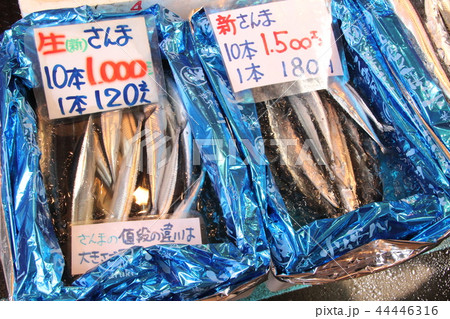 サンマの販売 サンマの販売 44446316