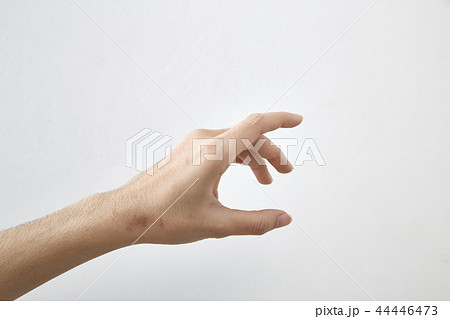 female hand on white background female hand on white background 44446473