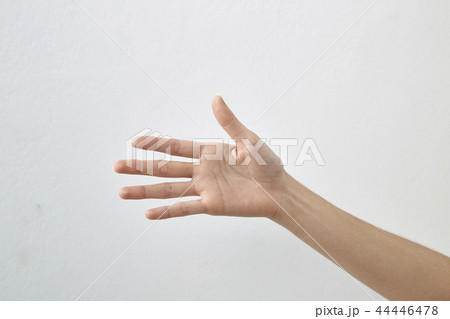 44446478