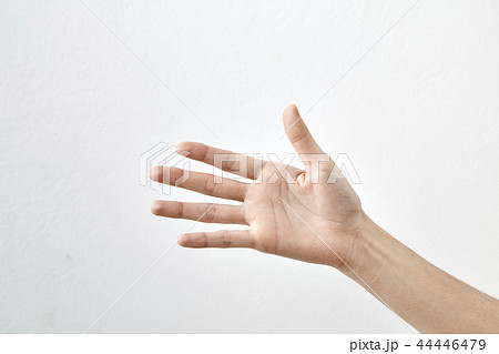 Female hand on white 44446479