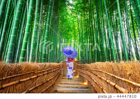 Bamboo Forest. Bamboo Forest. 44447810