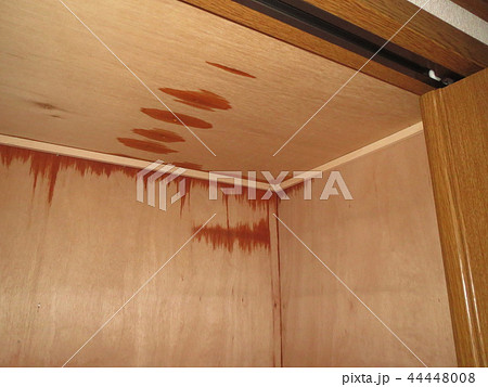雨漏り 44448008