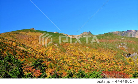 安達太良山の紅葉 安達太良山の紅葉 44448017