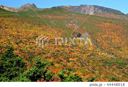 安達太良山の紅葉 安達太良山の紅葉 44448018