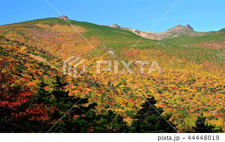 安達太良山の紅葉 安達太良山の紅葉 44448019