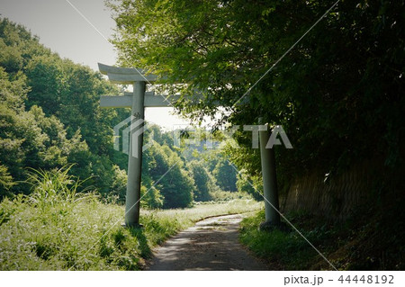 修那羅山(安宮神社)鳥居 修那羅山(安宮神社)鳥居 44448192