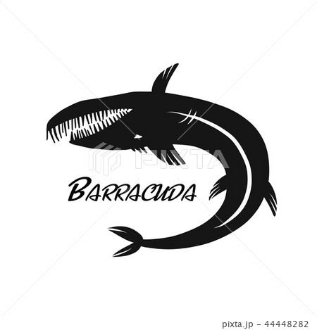 Barracuda fish for your design 44448282