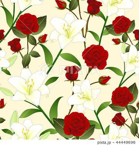 Red Rose and White Lily Flower Beige Background 44449696