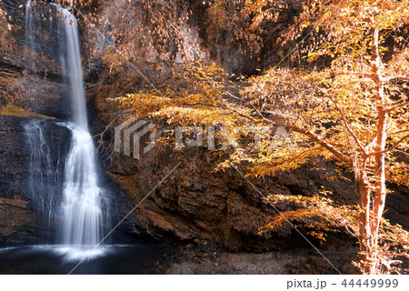 Waterfall in the woods Waterfall in the woods 44449999