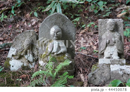 修那羅山(安宮神社)神石仏 修那羅山(安宮神社)神石仏 44450078