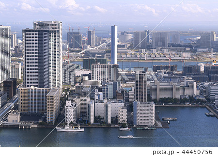日本の東京都市景観 豊洲市場や選手村などを望む 日本の東京都市景観 豊洲市場や選手村などを望む 44450756