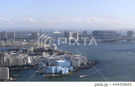 日本の東京都市景観　豊洲市場や選手村などを望む（右奥にフジテレビ） 44450845