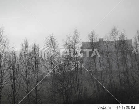 Spooky house with trees and fog 44450982