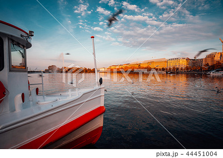 Traditional steamer boat on Alster Lake in foreground. Golden autumn light at sunset. Seagulls 44451004