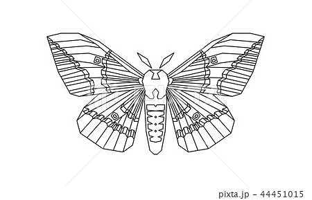 Imperial Moth, Eacles imperialis vector illustration on white 44451015