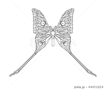 Comet moth white background hires stock photography and images Alamy