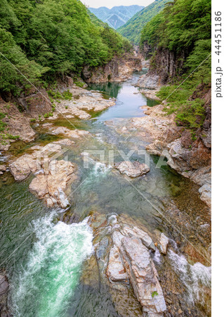 竜王峡　(5月) 44451186