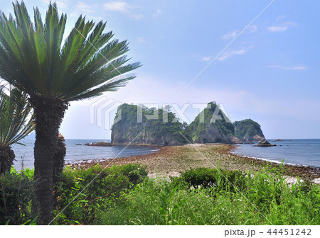 西伊豆堂ヶ島海岸-18515 44451242