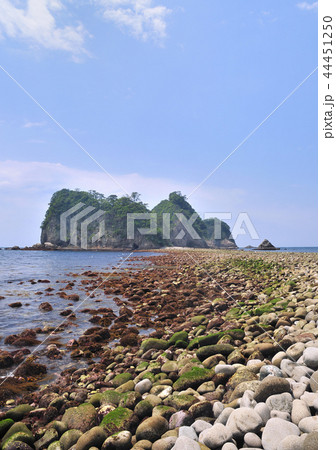 西伊豆堂ヶ島海岸-18525 西伊豆堂ヶ島海岸-18525 44451250