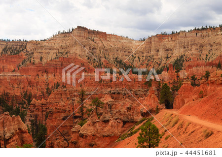 Panorama from Bryce Canyon National Park, USA 44451681