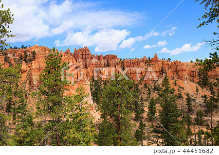 Panorama from Bryce Canyon National Park, USA 44451682