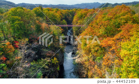 岩内仙境の紅葉 44452109