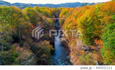 岩内仙境の紅葉 岩内仙境の紅葉 44452111