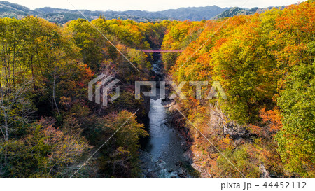 岩内仙境の紅葉 岩内仙境の紅葉 44452112