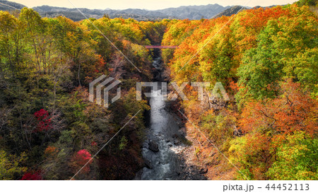 岩内仙境の紅葉 岩内仙境の紅葉 44452113