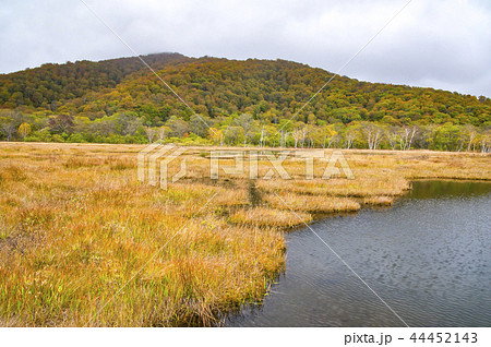 草紅葉の季節の尾瀬ヶ原 上田代 草紅葉の季節の尾瀬ヶ原 上田代 44452143