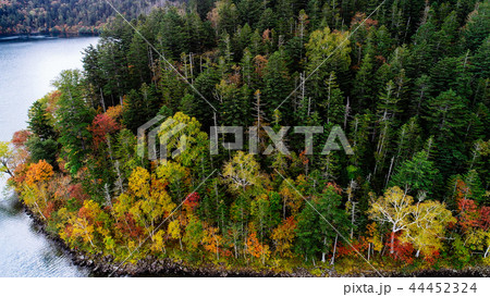 然別湖の空撮 44452324