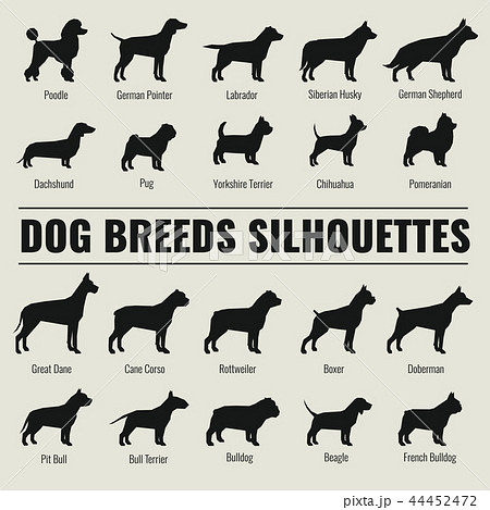 Dog breeds vector silhouettes set Dog breeds vector silhouettes set 44452472