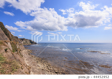 勝浦市　大沢付近の海 44452952