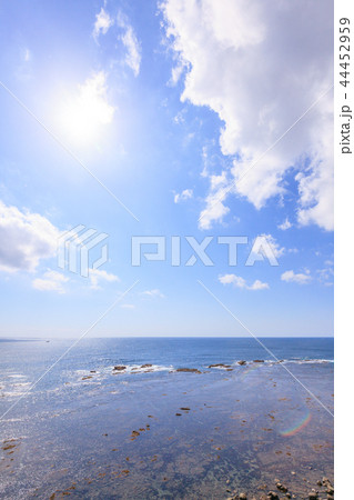 勝浦市 大沢付近の海 勝浦市 大沢付近の海 44452959