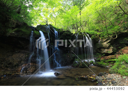 猿壺の滝862 44453092