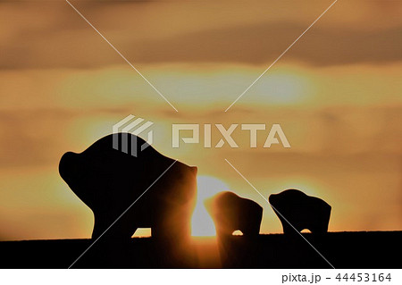 年賀状　亥 44453164