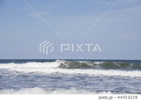 釣ヶ崎海岸 Tsurigasaki Beach 44453229