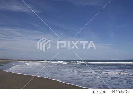 釣ヶ崎海岸 Tsurigasaki Beach 44453230