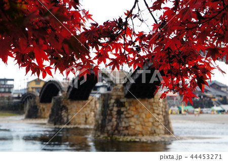紅葉 紅葉 44453271