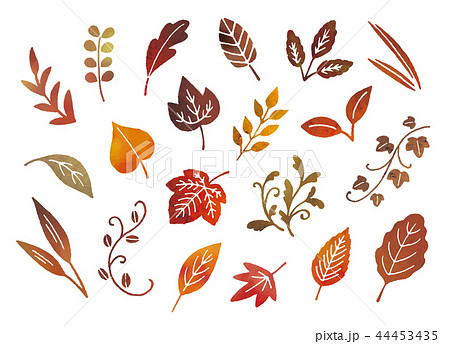 秋冬の葉水彩 秋冬の葉水彩 44453435