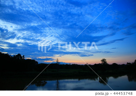 sky sunset cloud beautiful with silhouette tree  44453748