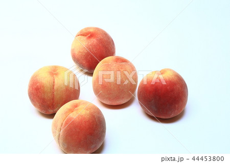 桃 44453800